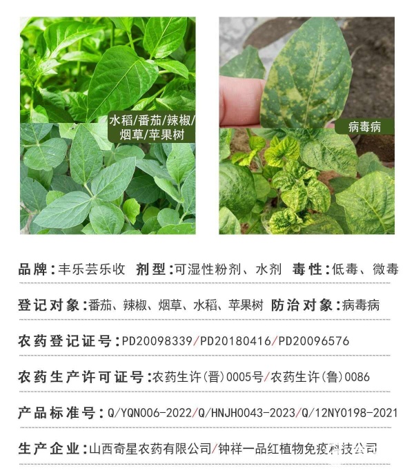 走出病毒病困局 從花葉套餐到藥瓶升級(jí)，看現(xiàn)代農(nóng)業(yè)病蟲(chóng)害管理的新思維